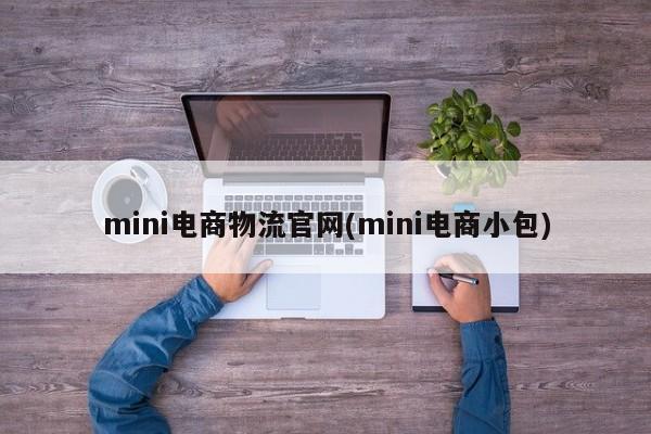mini电商物流官网(mini电商小包)